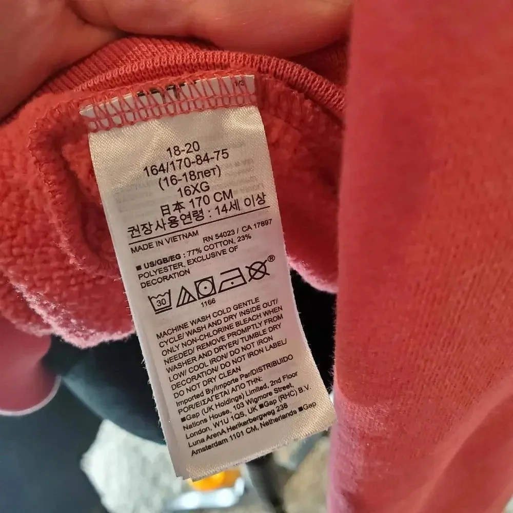 GAP Teen Logo Hoodie Size 18-20